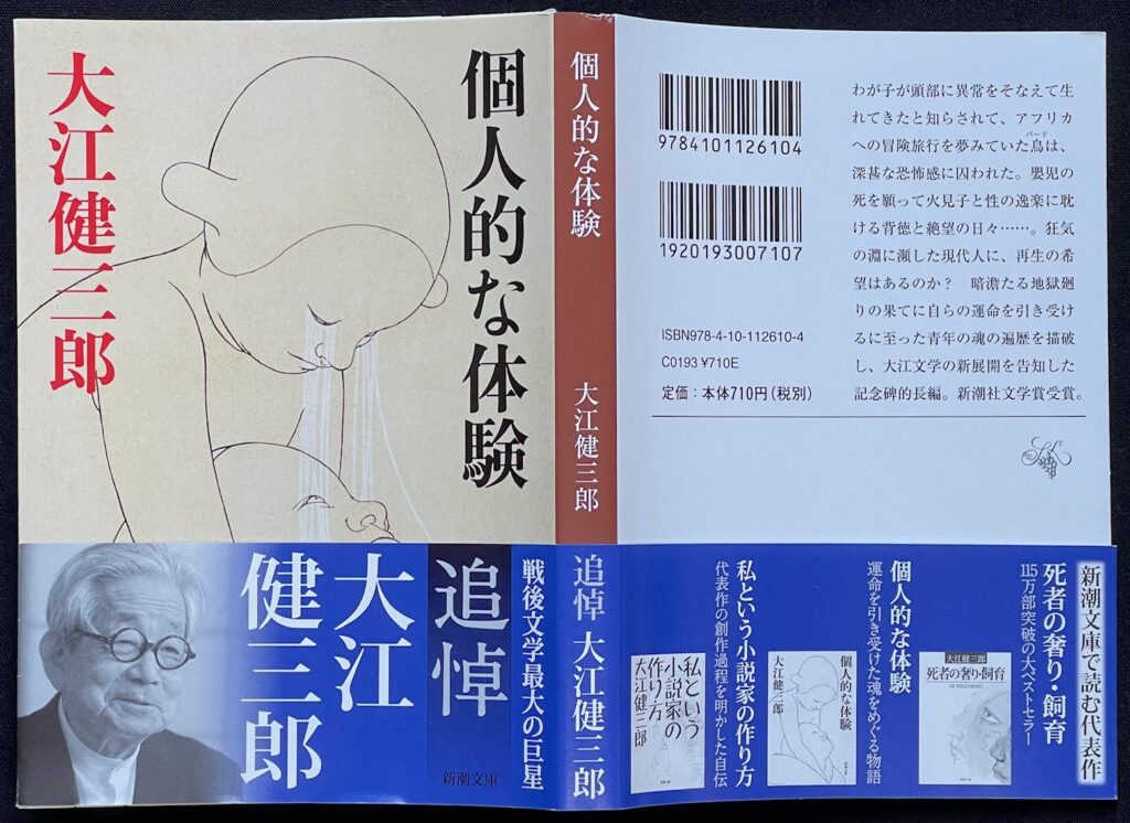 文庫本「個人的な体験」大江健三郎＝著　本の表紙画像